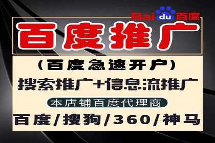 某SEM公司广告投放案例：创新广告形式的探索与实践